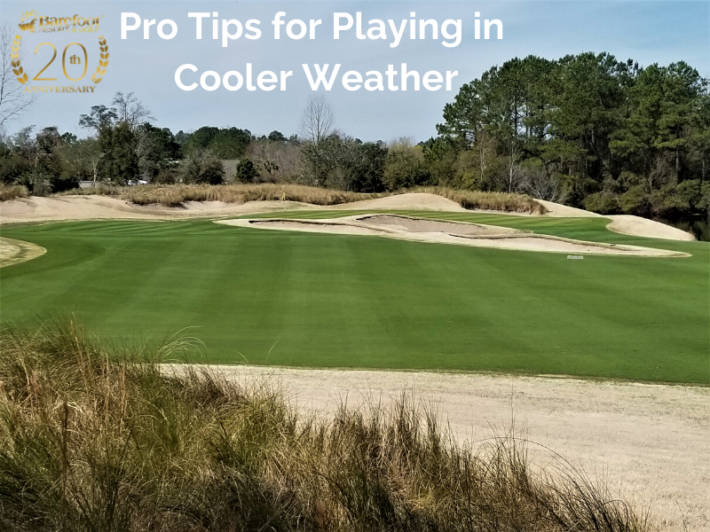 Pro Tips for Cool Weather image